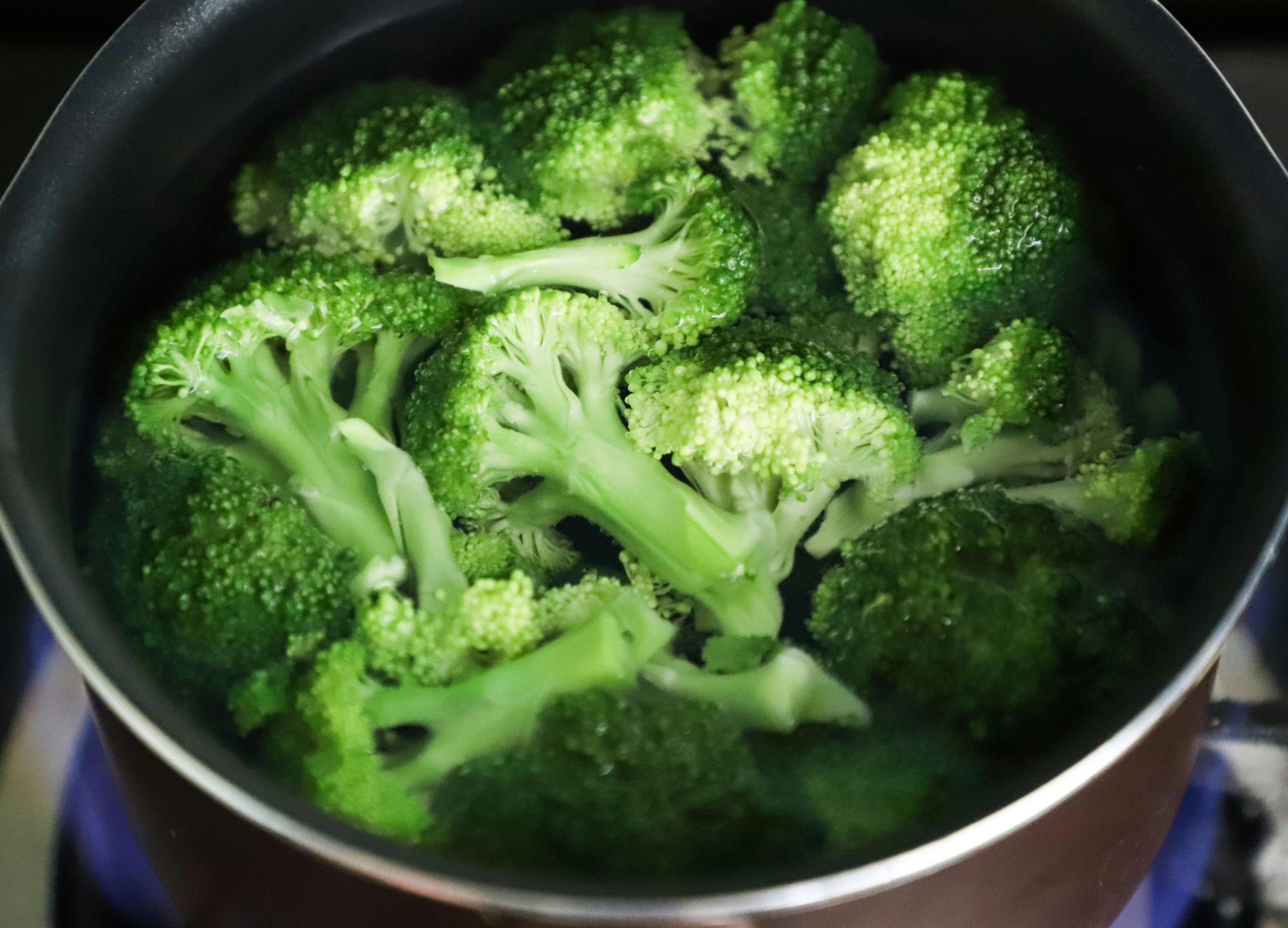 Alpha Lipoic Acid (ALA) pexels catscoming 1359326 scaled - Alpha Lipoic Acid (ALA)